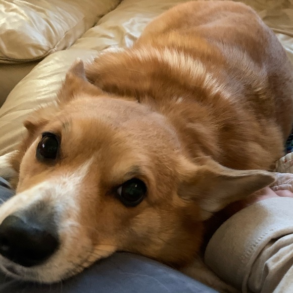 Meet your Posher, Sarah - Picture 4 of 6